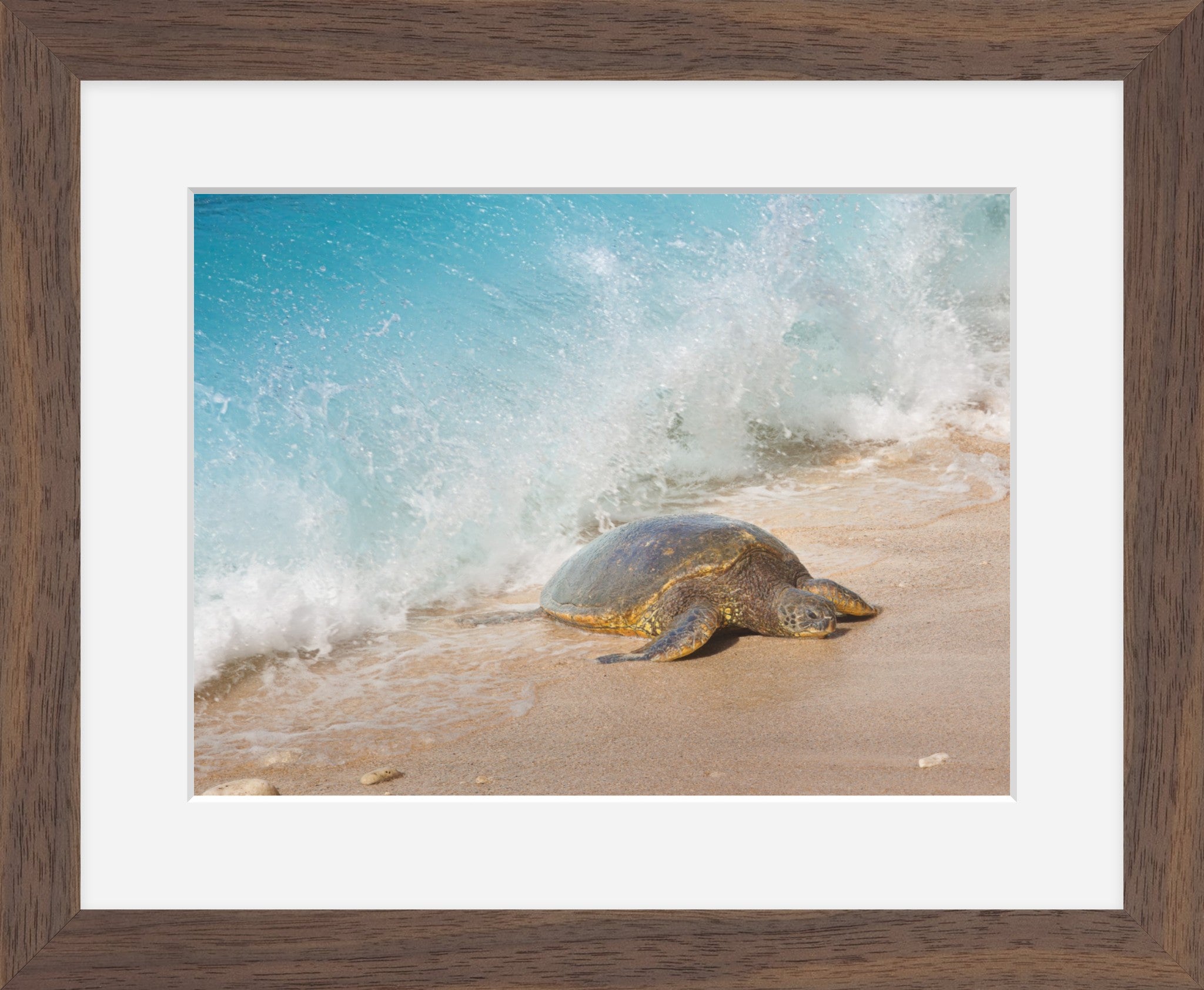 Honu Wave – Hawaiian Sea Turtle Fine Art Print