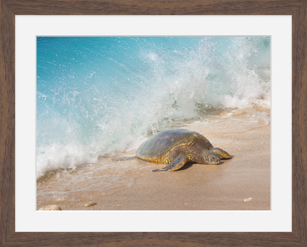 Honu Wave – Hawaiian Sea Turtle Fine Art Print