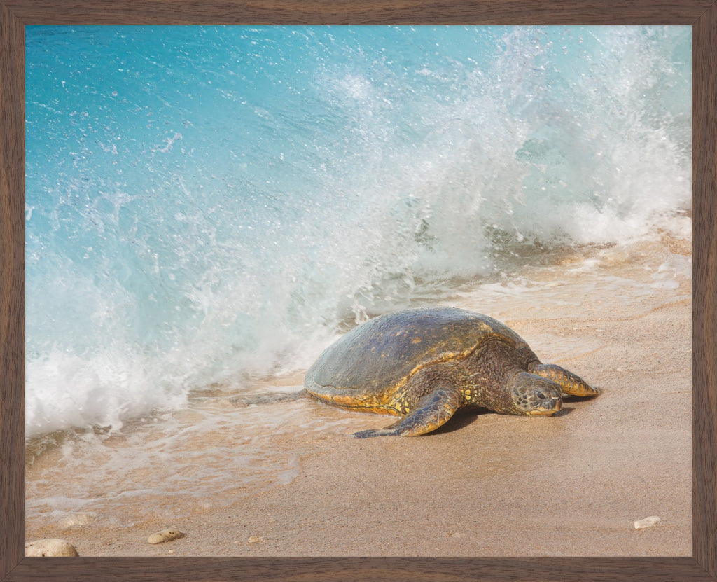 Honu Wave – Hawaiian Sea Turtle Fine Art Print