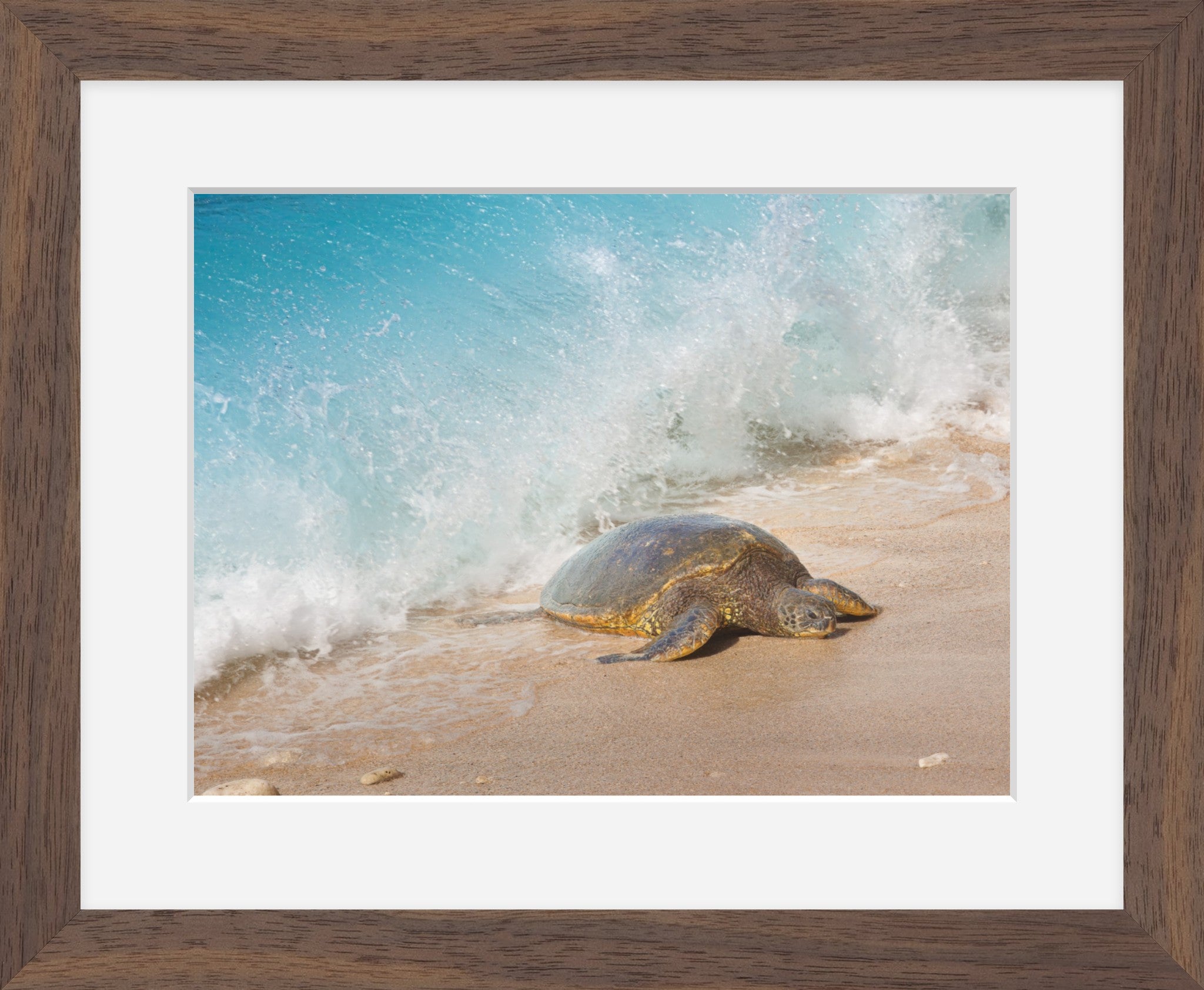 Honu Wave – Hawaiian Sea Turtle Fine Art Print