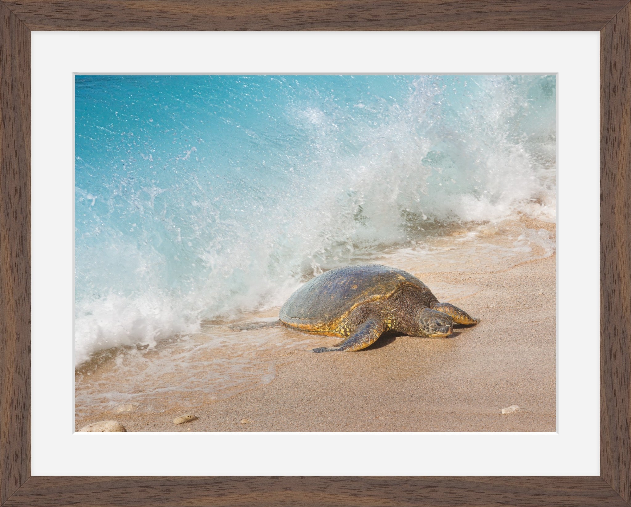 Honu Wave – Hawaiian Sea Turtle Fine Art Print