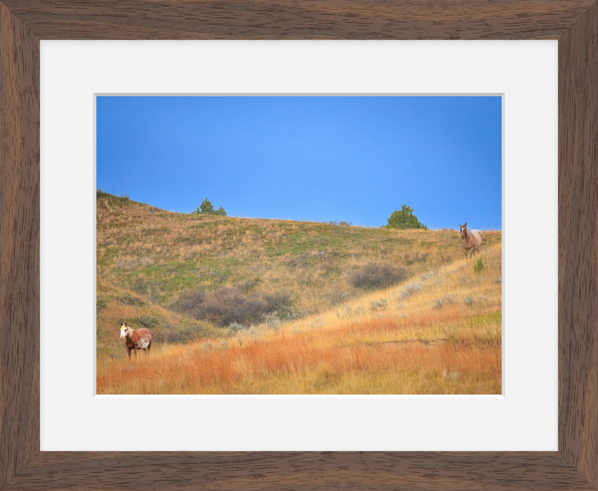 Untamed Spirits | North Dakota Wild Horses | Fine Art Print