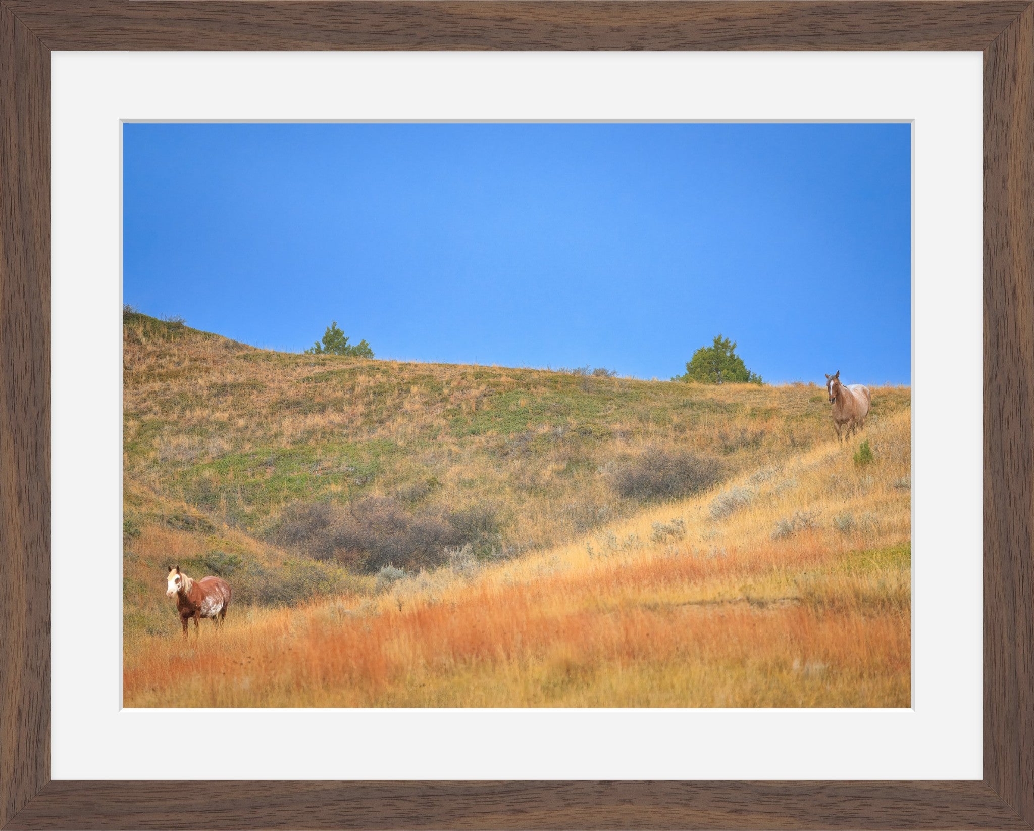 Untamed Spirits | North Dakota Wild Horses | Fine Art Print