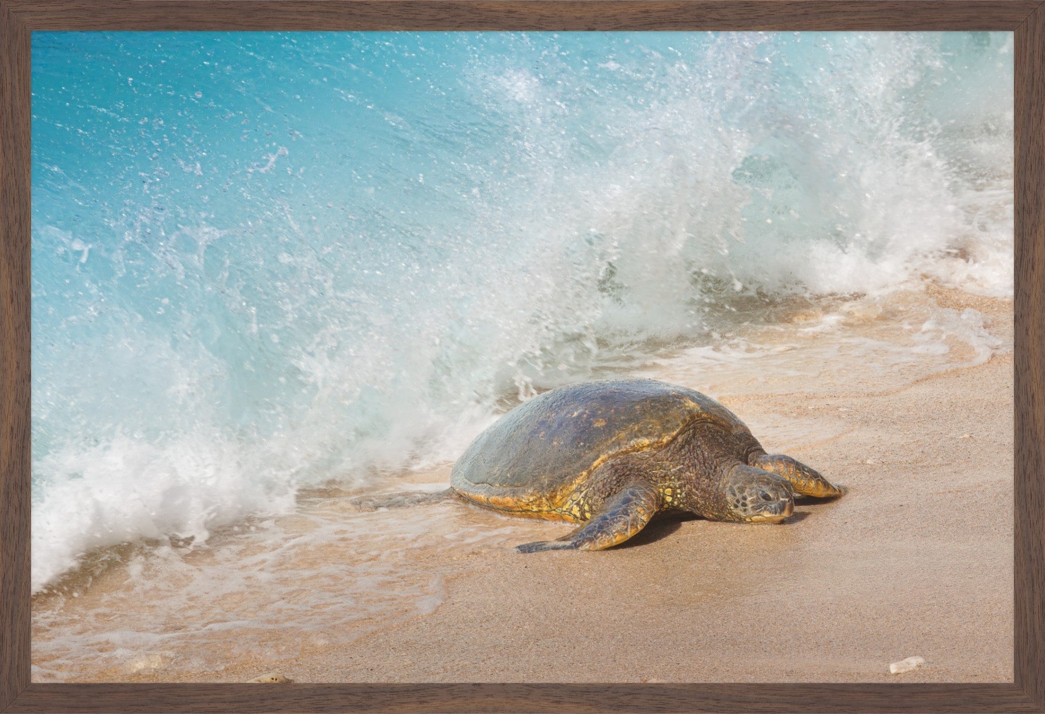 Honu Wave – Hawaiian Sea Turtle Fine Art Print