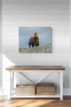 A square wall art print showing a bison standing on a rocky outcrop under a cloudy sky, displayed above a wooden bench with woven baskets against a white shiplap wall.