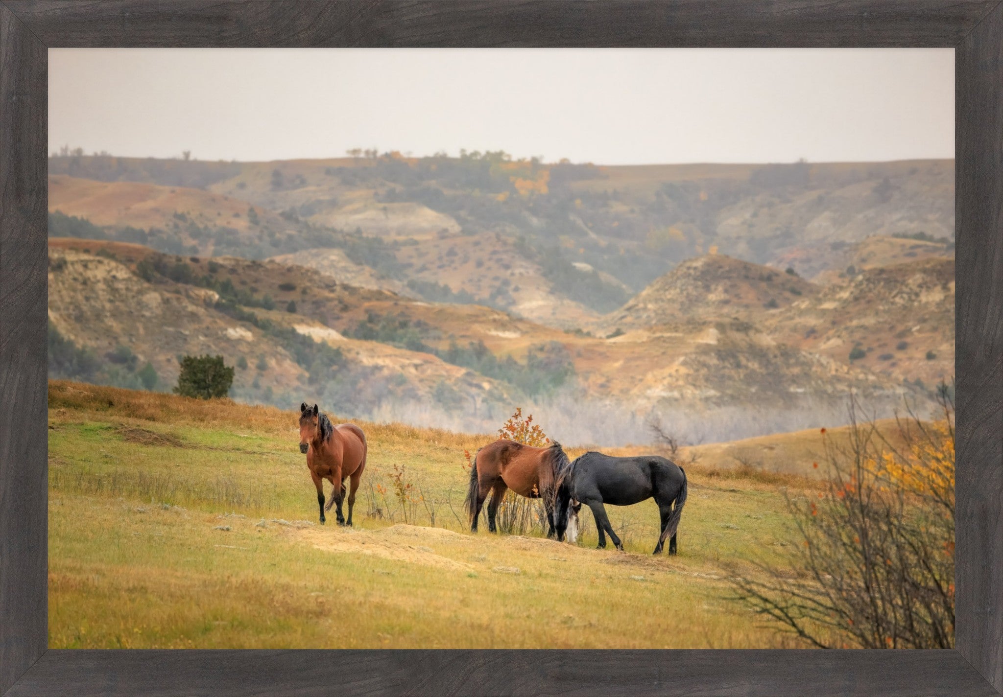 Framed landscape photograph of three horses standing in a grassy field with rolling hills in the background, enclosed in a dark wood frame.