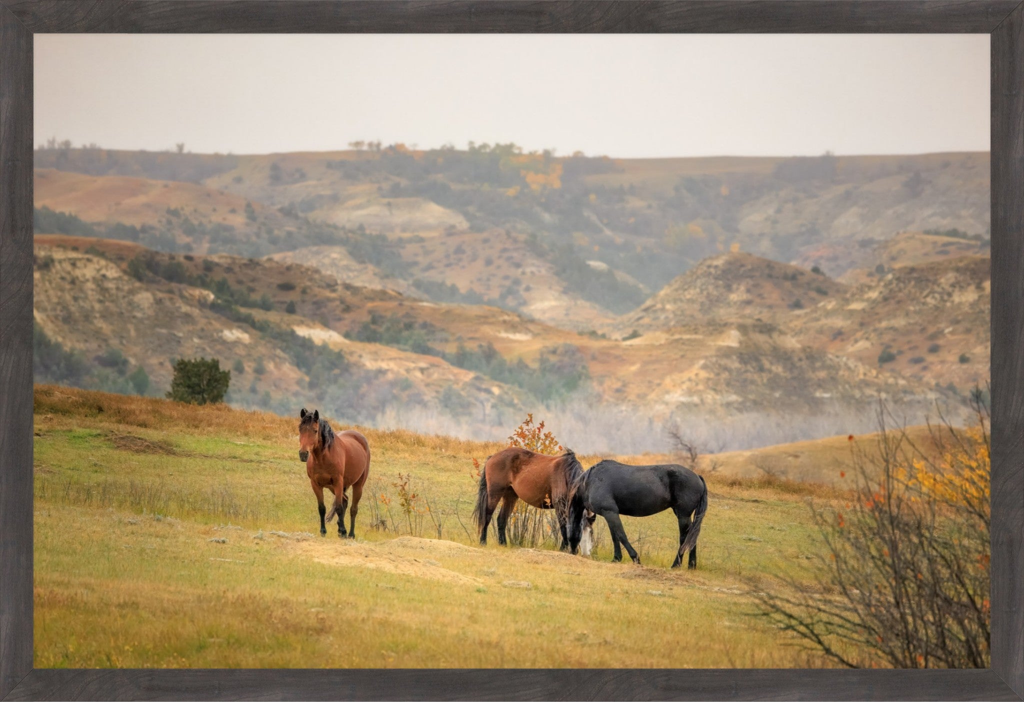 A framed landscape photograph showing three horses standing in a grassy field with rolling hills in the background, enclosed in a dark gray frame.