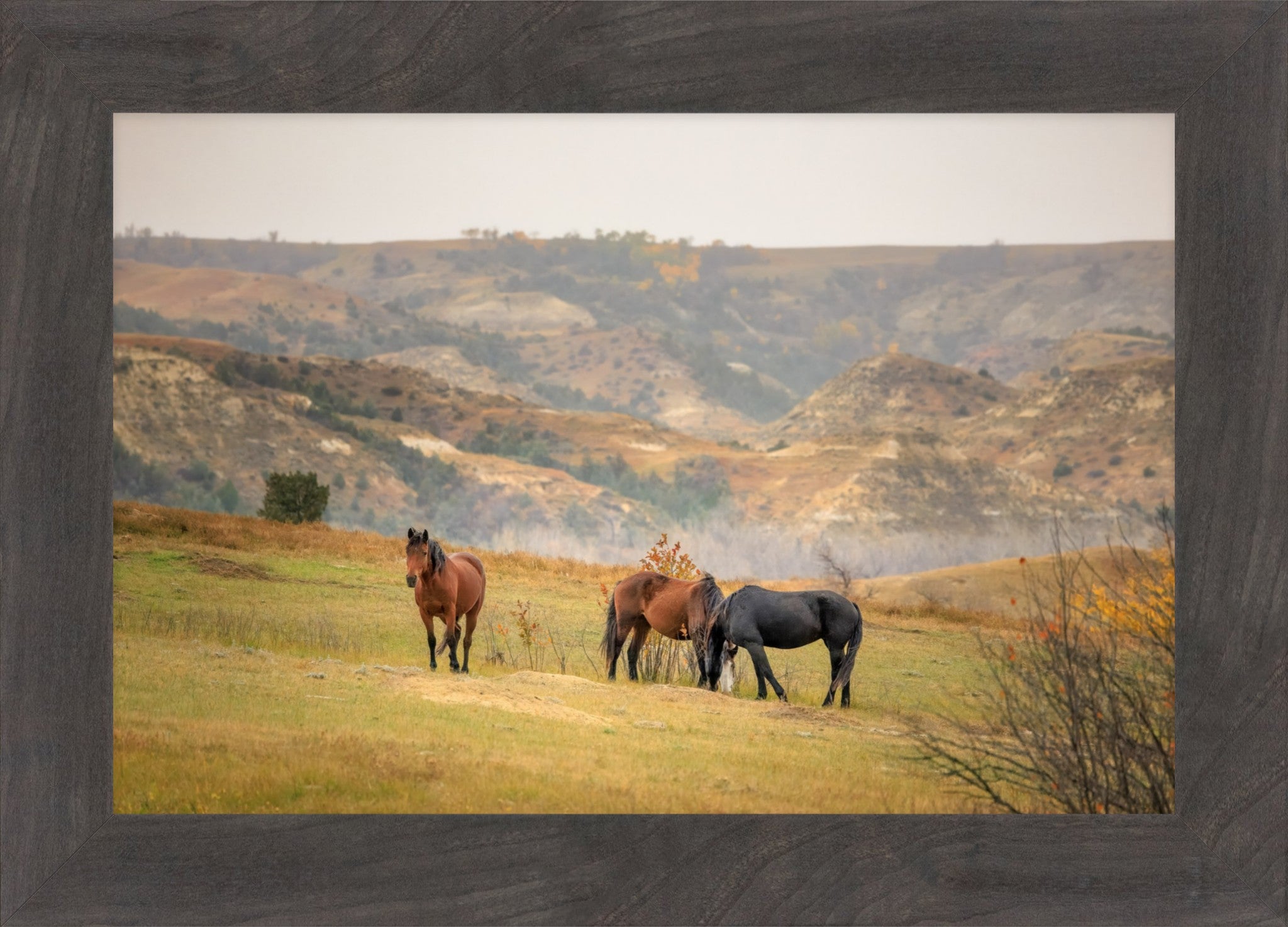 Framed landscape art print depicting three horses in a grassy field with rolling hills in the background, enclosed in a dark wood frame.