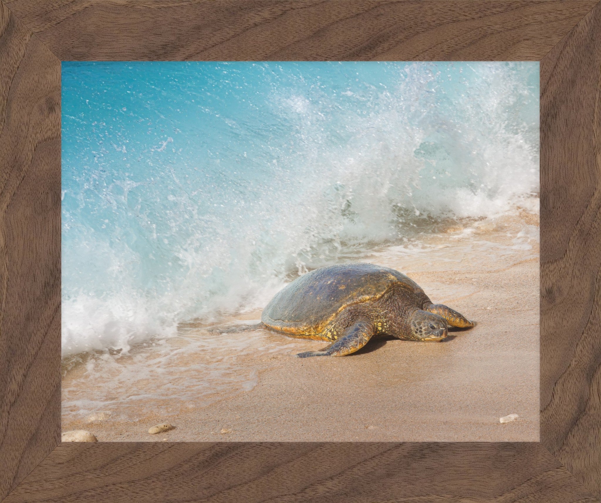 A framed photographic print of a sea turtle on a sandy beach as a turquoise ocean wave crashes behind it, set in a thick brown wood frame.