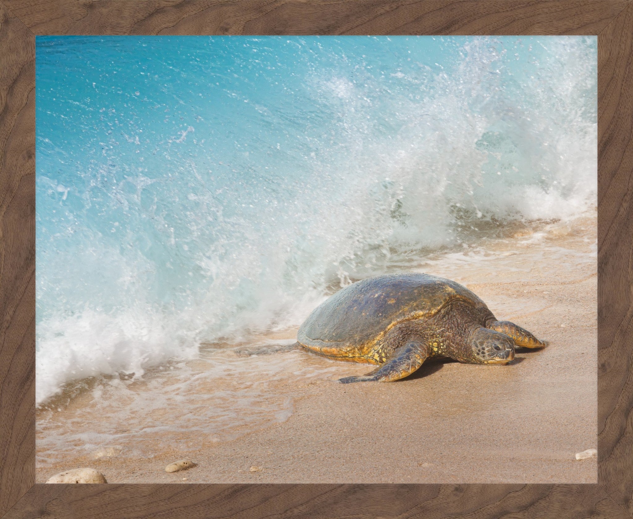 A square photographic print of a sea turtle on a sandy beach as a turquoise ocean wave crashes, presented with a rustic brown wood-grain border.