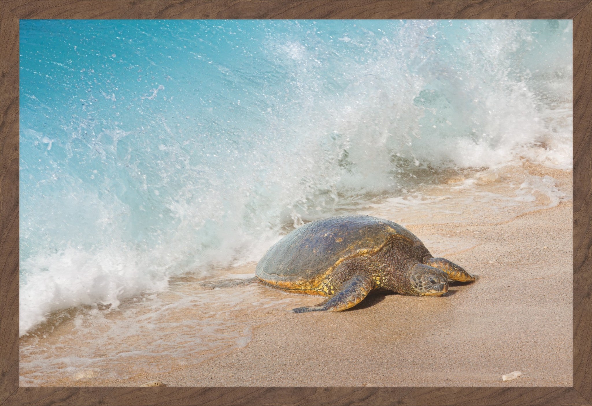 A framed photographic print depicting a sea turtle on a sandy beach as a turquoise ocean wave crashes around it, with a brown textured border around the print.