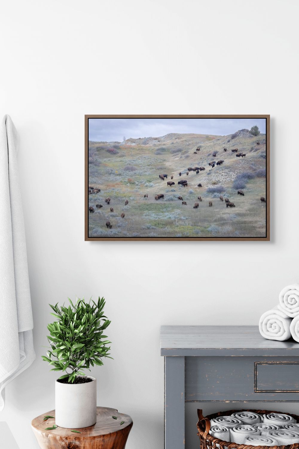 Fine art photography print of a wild bison herd grazing on North Dakota sagebrush hills with a purple and sage green landscape palette.