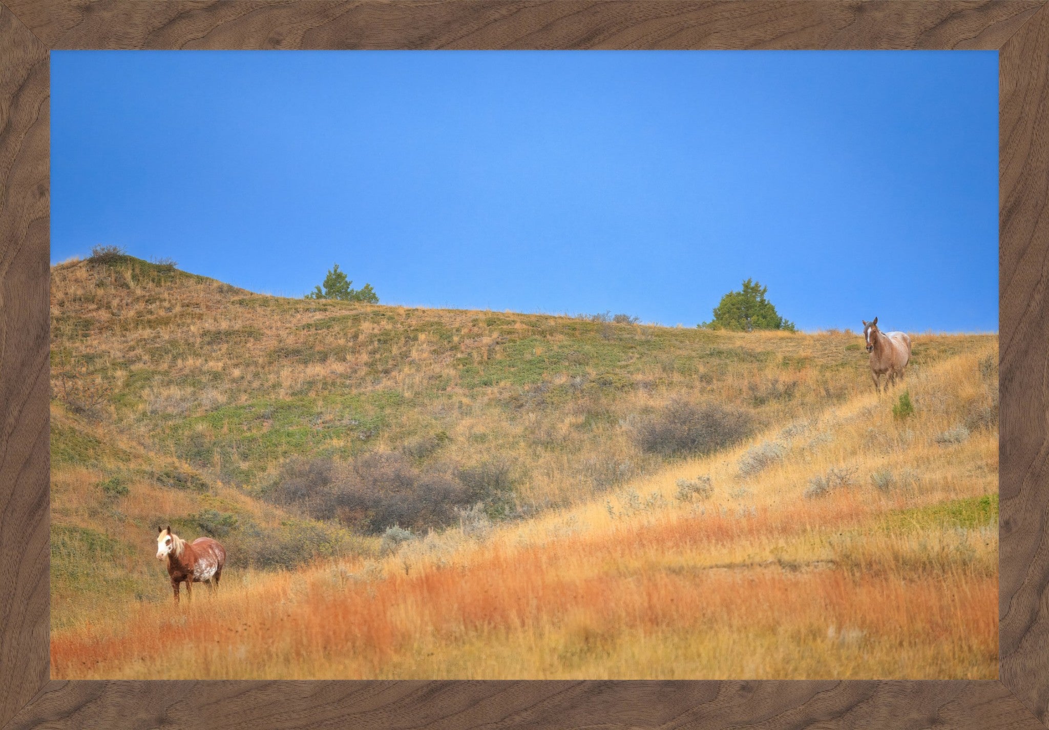 A framed landscape art print depicting two horses grazing on dry, golden hills under a clear blue sky, set within a rustic brown wood frame.