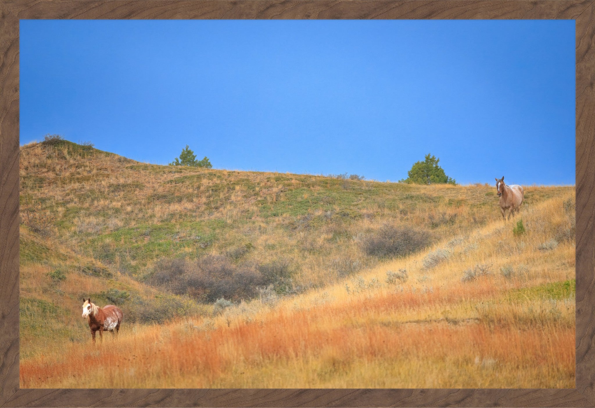 A framed landscape photograph showing two horses grazing on dry grassy hills under a clear blue sky, with a rustic brown wood-style border around the print.